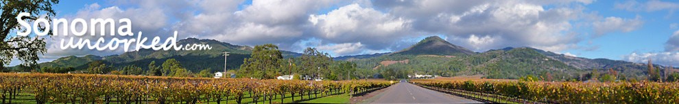 Sonoma Wine Country