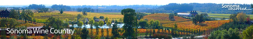 Sonoma Wine Country