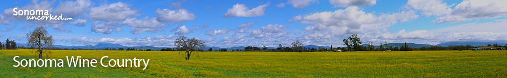 Sonoma Wine Country