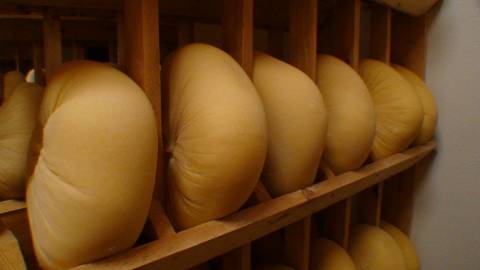 Wheels of artisan cheese age at Spring Hill Cheese Co. in Petaluma