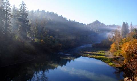 Hacienda Bridge in the Morning - Guerneville, CA - Sonoma County 