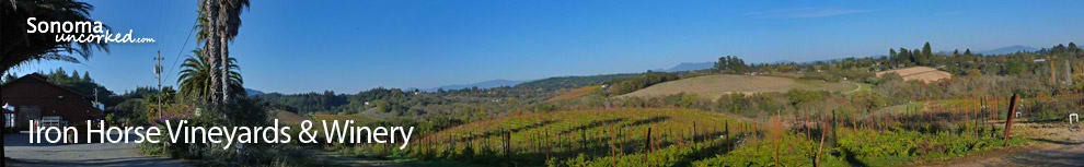 Sonoma Wine Country