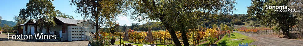 Sonoma Wine Country