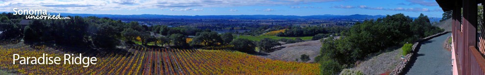 Sonoma Wine Country