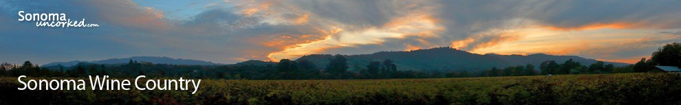 Sonoma Wine Country