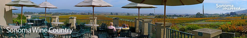 Sonoma Wine Country