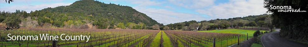 Sonoma Wine Country