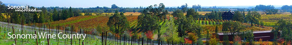 Sonoma Wine Country