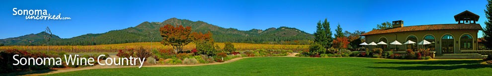 Sonoma Wine Country