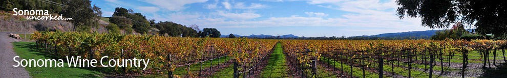 Sonoma Wine Country