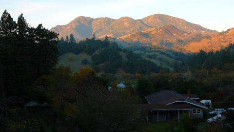 Sonoma County Christmas Tree Farms - View From Pochini Family Farm - Knights Valley