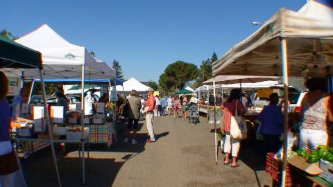Sonoma Farmers Market - Friday