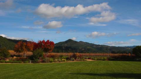 Sonoma Valley - California Wine Country