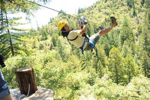 Sonoma Canopy Tours