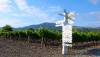 Sonoma Valley Wineries