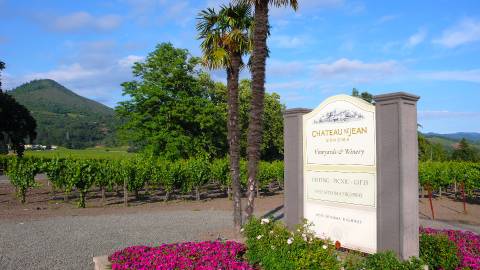 Sonoma Valley Wineries