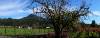 Kaz Vineyards & Winery - Kenwood, CA 95452, Sonoma Valley