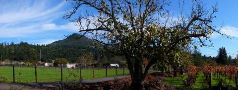 Kaz Vineyards & Winery - Kenwood, CA 95452, Sonoma Valley