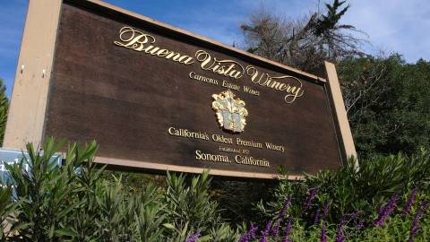 Buena Vista Carneros - Sonoma, CA 95476, Sonoma Valley