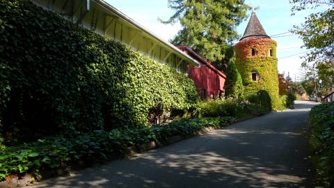 Korbel Cellars - Guerneville, CA 95446, Russian River